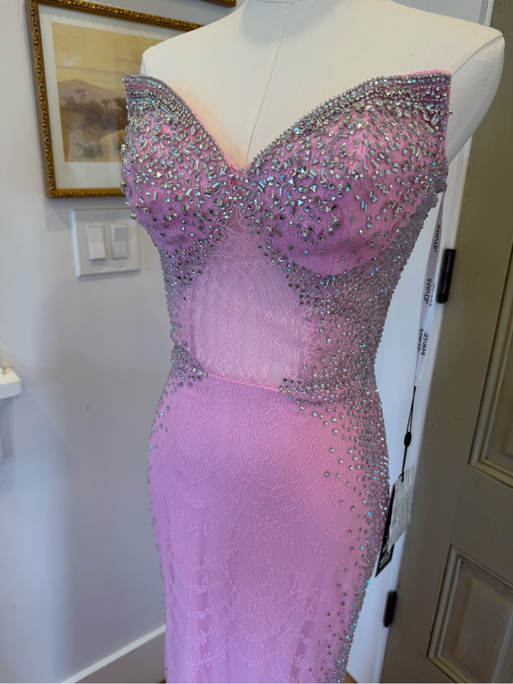 Jovani NWT Pink Lace Gown - Picture 5 of 8